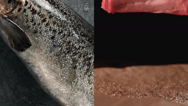 Packaging flexible para pescados y carnes